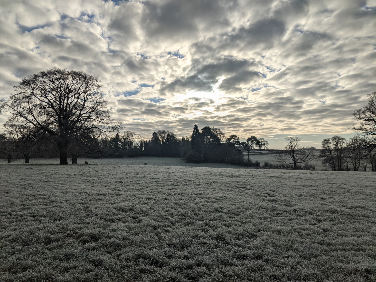 A winter sky, January 7th